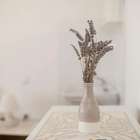 B&B Sabina Rooms & Apartments Gasthof Barbat na Rabu